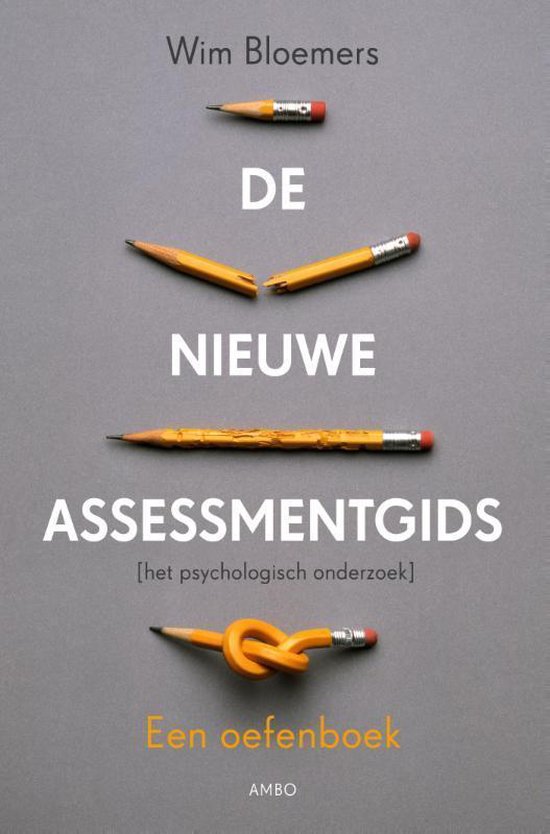 De nieuwe assessmentgids - Wim Bloemers | Tiliboo-afrobeat.com
