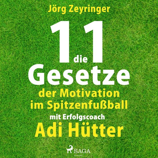 Die 11 Gesetze der Motivation im Spitzenfußball - mit Erfol ... - cover