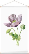 Slaapbol (Opium Poppy) - Foto op Textielposter - 40 x 60 cm