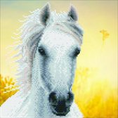 Diamond Painting Volwassenen - Ronde Steentjes - Volledig Pakket - Hobby - Diamond Dotz® - LA50461 - Dieren- Wit paard 30.48 x 30.48cm