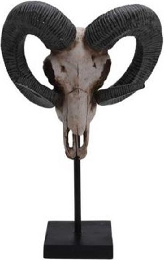 Schedel dier ram op voet 47 cm - decoratie - prachtige staander dierenkop |  bol.com