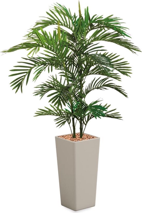 HTT - Kunstplant Areca palm in Clou vierkant taupe H185 cm