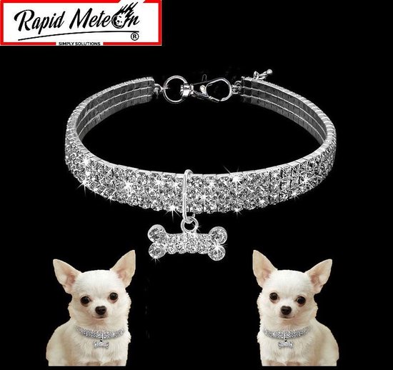 pad Bouwen op Schouderophalend Chihuahua Halsband/Ketting - Kleine honden kleding - Bling - Zilverkleur  met hanger -... | bol.com