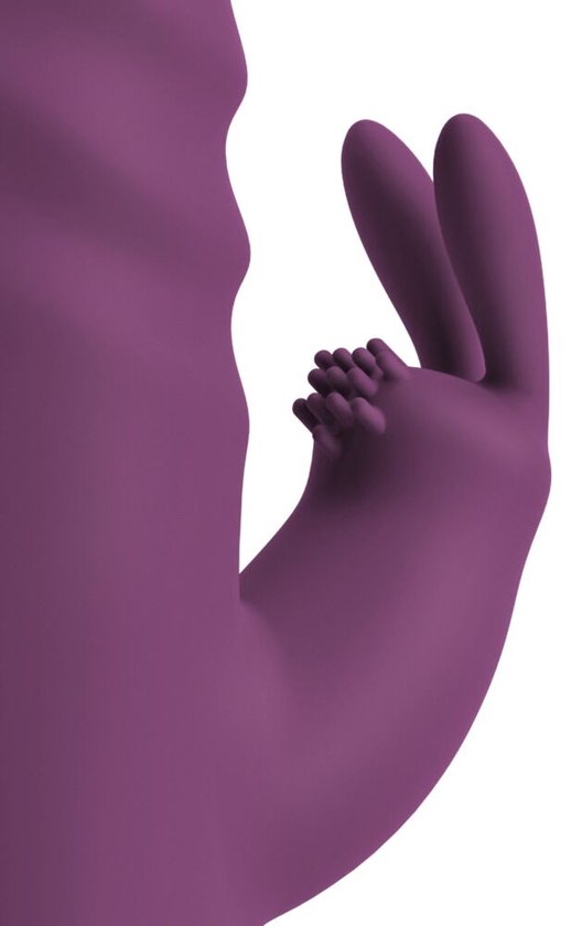 Vibromasseur lapin violet en Siliconen Lusty Toys avec deux fonctions