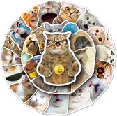 Grappige Katten Stickers - Cat Meme katten sticker set - 50 stuks - Voor laptop, smartphone, muur. Voor kinderen en volwassenen.