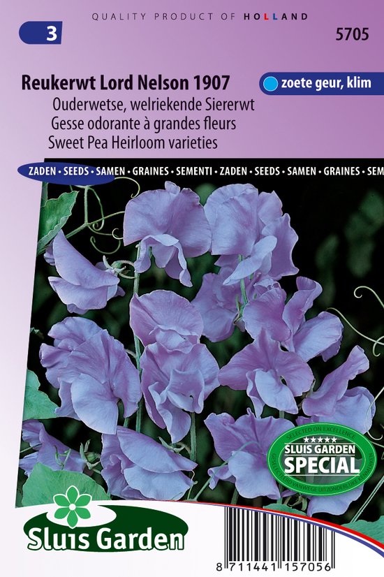 Sluis Garden - Reukerwt Lord Nelson 1907 (Lathyrus)
