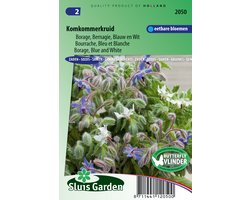 Sluis Garden - Komkommerkruid Blauw/ Wit (Borago officinalis)