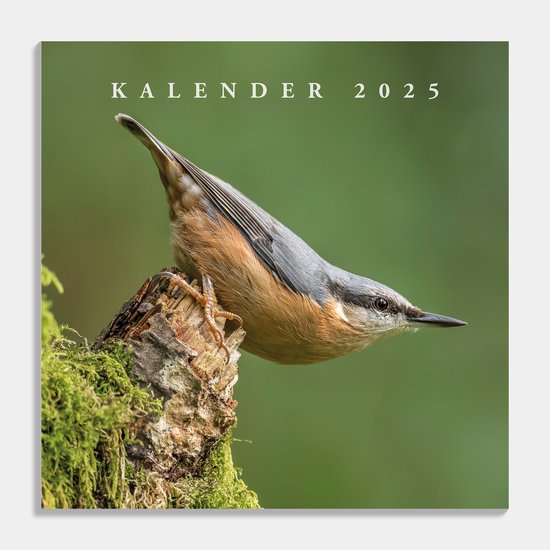 Foto: Hobbit jaarkalender maandplanner vogels 30x30cm 2025