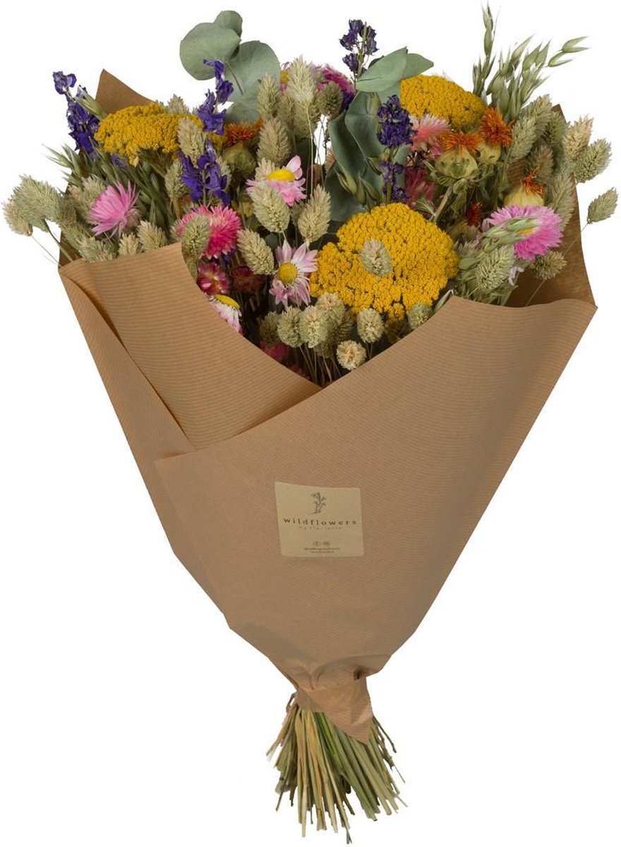 Green Harmony Droogbloemen Classic Bouquet Multi 60cm