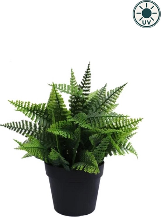 Kunstplant Varen in pot 23 cm UV - voor binnen en buiten