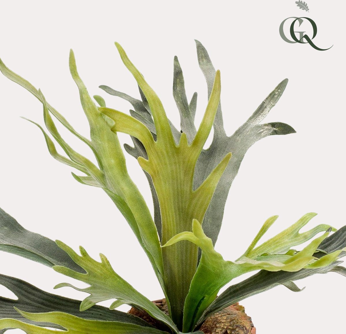 Kunstplant - Staghorn Fern - Hertshoorn - 50 cm