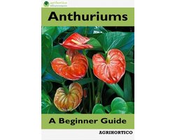 Anthuriums