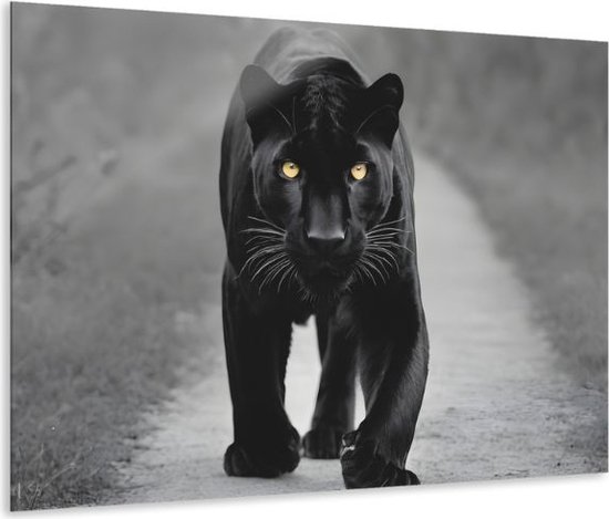 Indoorart - Glasschilderij Zwarte panter gele ogen 60x90 CM - Afbeelding op plexiglas - Inclusief montagemateriaal