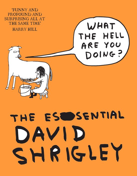 What The Hell are You Doing? - cover