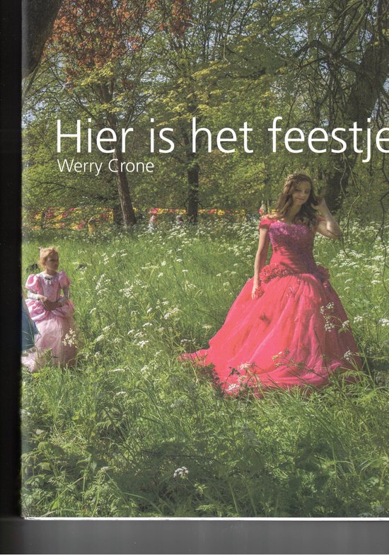 Hier is het feestje - cover