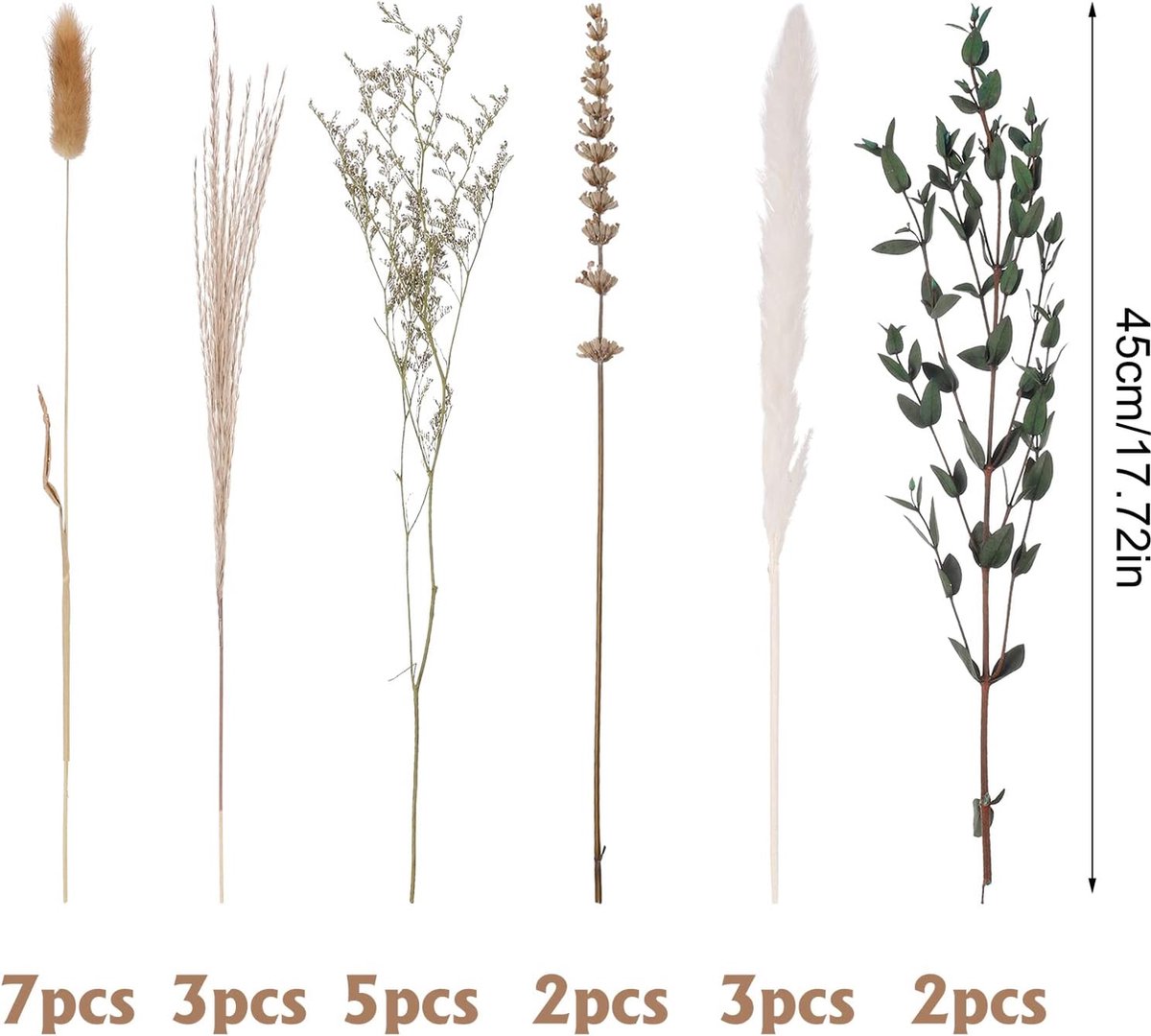 185 stuks natuurlijk gedroogd pampasgras decor, hoge pompas, bloemige rietgrassen, pluimstaarten, gedroogd boho bloemstuk voor bruiloft, tafel, woonkamer, slaapkamer, DIY-ambachten, boerderij