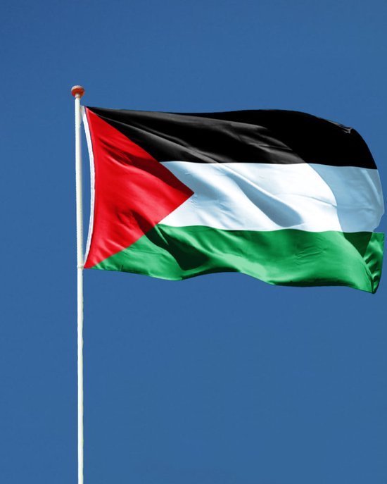 Drapeau Palestine 150 X 90 Cm En Polyester – Résistant Intempéries, Double Œillets Laiton