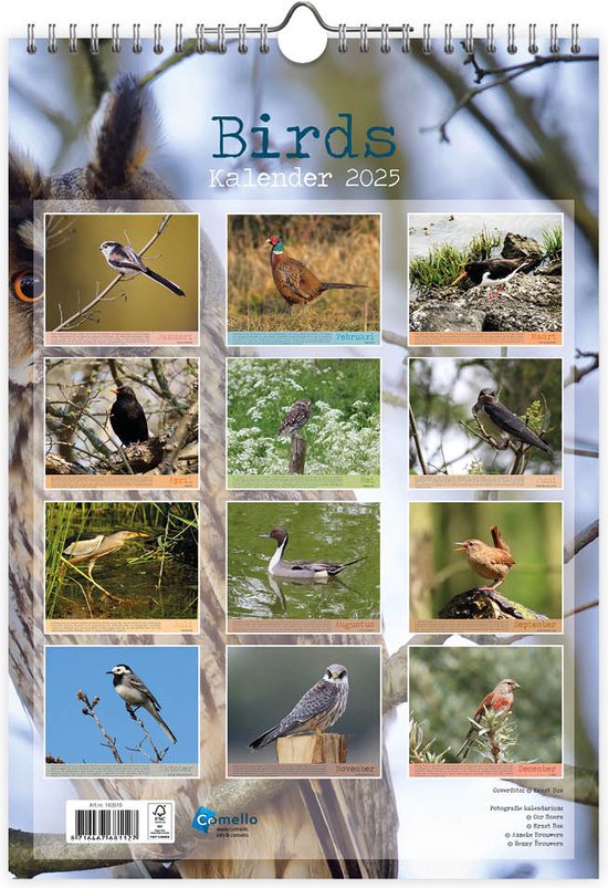 Birds Kalender 2025 | bol