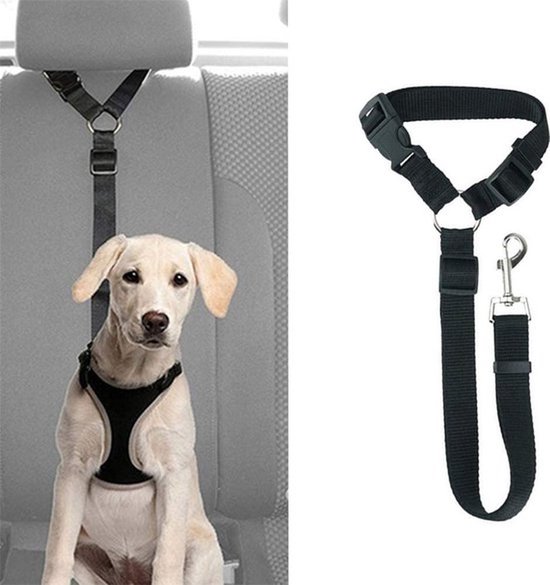 Knaak Autogordel voor Hond
