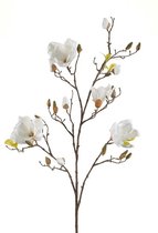 ToF Behang bloemen witte magnolia | ToF behang aan je muur