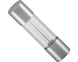 Glaszekering - 2,5 Ampere - 5 x 20mm - Traag - 10 stuks