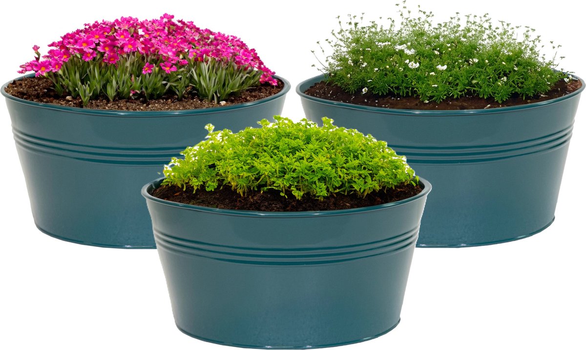Goedkoopste Mega Collections plantenpot/bloempot Bob - 3x - zink - zeegroen - D25 X H12 cm