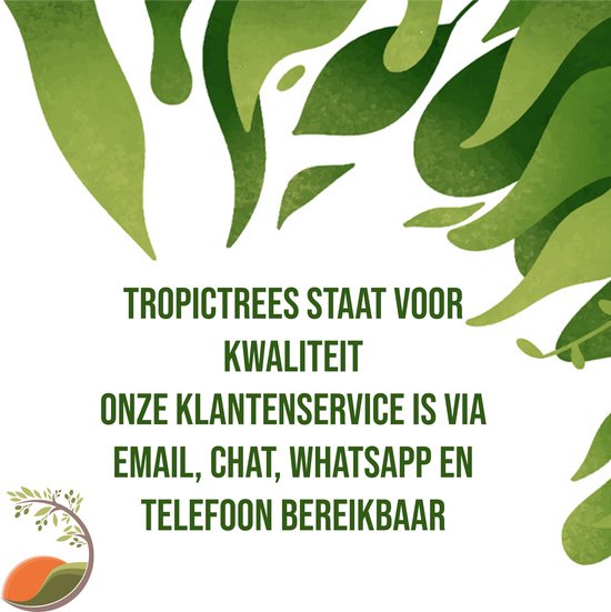 Informatie over Tropic Trees: klantenservice via e-mail, chat, WhatsApp en telefoon.
