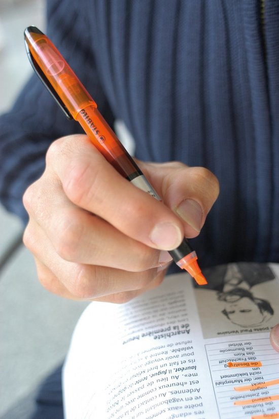 Stabilo Highlighter Navigator vert