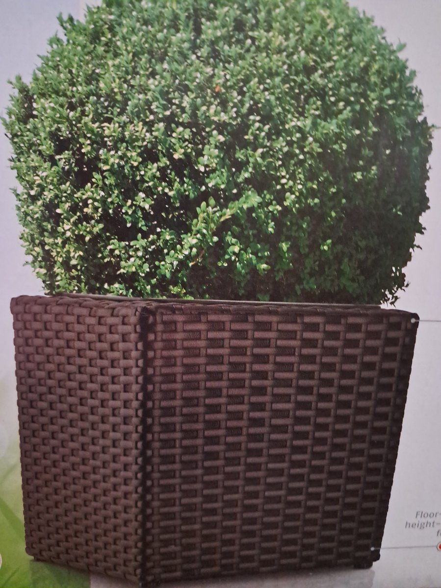 Florabest Plantenbak - Bruin - 28x28x28cm - uv- en weerbestendig