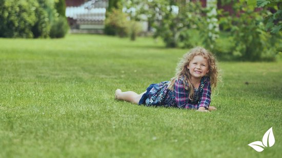 Engrais Granule de Chaux enrichi en magnésium (5Kg - Pour 100m2) pour un vert plus profond des feuilles (+ PH) Spécialement pour les pelouses, les plates - bandes , le potager et la verdure publique - Organifer