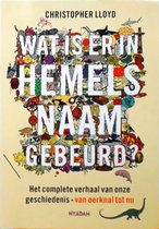 Wat is er in hemelsnaam gebeurd?