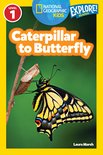 NGR Caterpillar To Butterfly