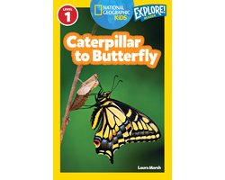 NGR Caterpillar To Butterfly
