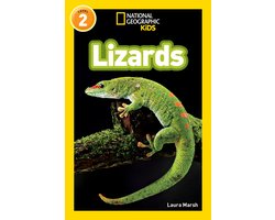 Ngr Lizards