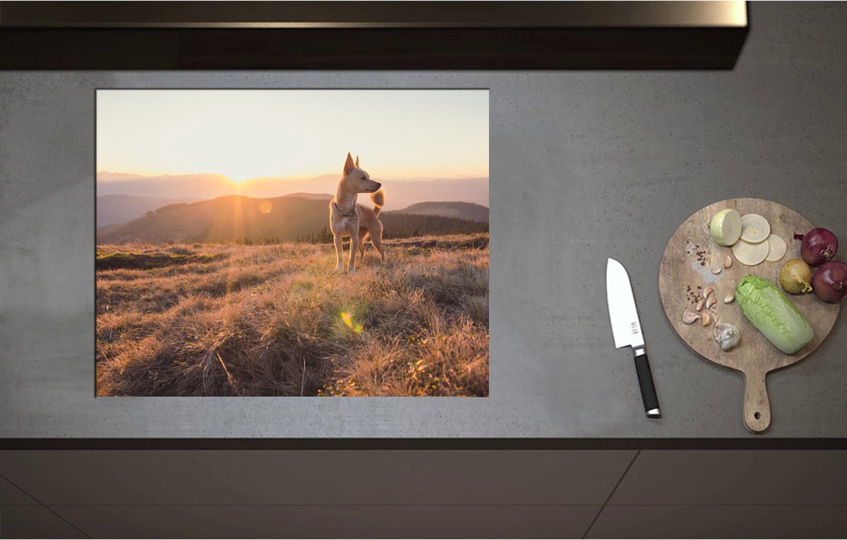 Inductieplaat Beschermer - Bruine Hond op de Top van de Berg bij Zonsondergang - 70x55 cm - 2 mm Dik - Inductie Beschermer - Bescherming Inductiekookplaat - Kookplaat Beschermer van Wit Vinyl