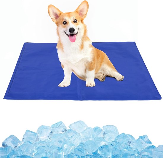 Koelmat honden. Help jouw hond afkoelen deze zomer