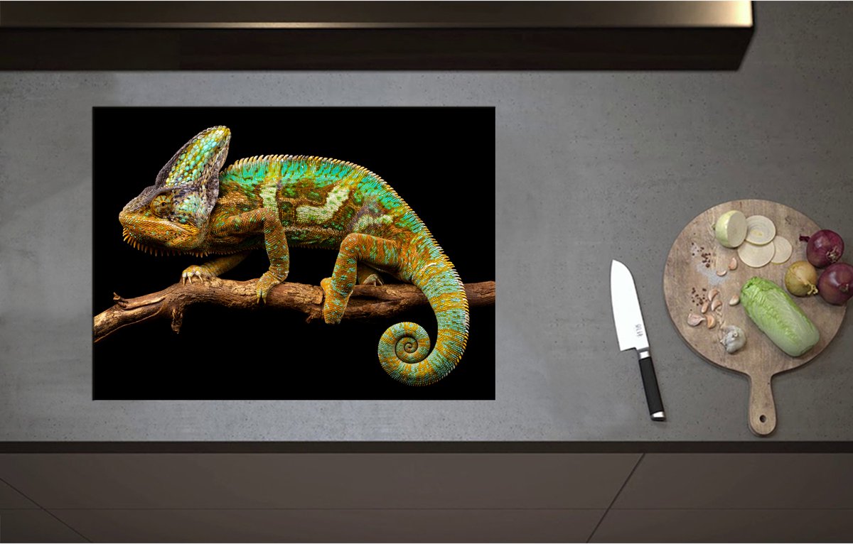 Inductieplaat Beschermer - Bruin groene kameleon staat op tak - 71x52 cm - 2 mm Dik - Inductie Beschermer - Bescherming Inductiekookplaat - Kookplaat Beschermer van Zwart Vinyl