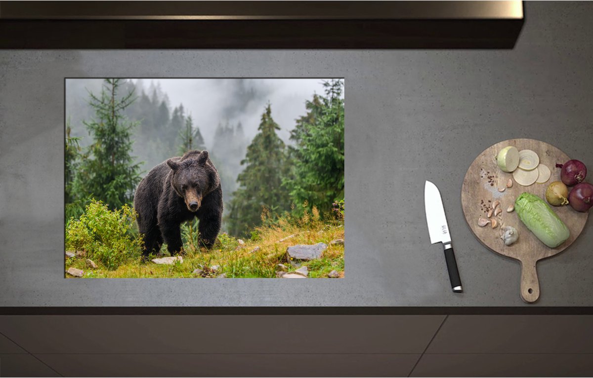 Inductieplaat Beschermer - Bruine beer in bos met grote bomen en bergen - 71x51 cm - 2 mm Dik - Inductie Beschermer - Bescherming Inductiekookplaat - Kookplaat Beschermer van Zwart Vinyl
