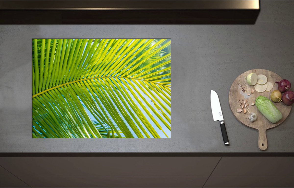 Inductieplaat Beschermer - Close up van Palmblad voor Blauwe Lucht - 71x51 cm - 2 mm Dik - Inductie Beschermer - Bescherming Inductiekookplaat - Kookplaat Beschermer van Zwart Vinyl