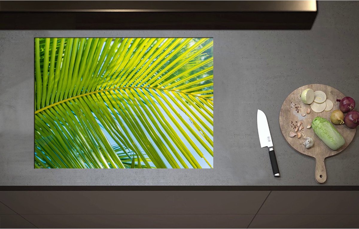 Inductieplaat Beschermer - Close up van Palmblad voor Blauwe Lucht - 75x55 cm - 2 mm Dik - Inductie Beschermer - Bescherming Inductiekookplaat - Kookplaat Beschermer van Wit Vinyl
