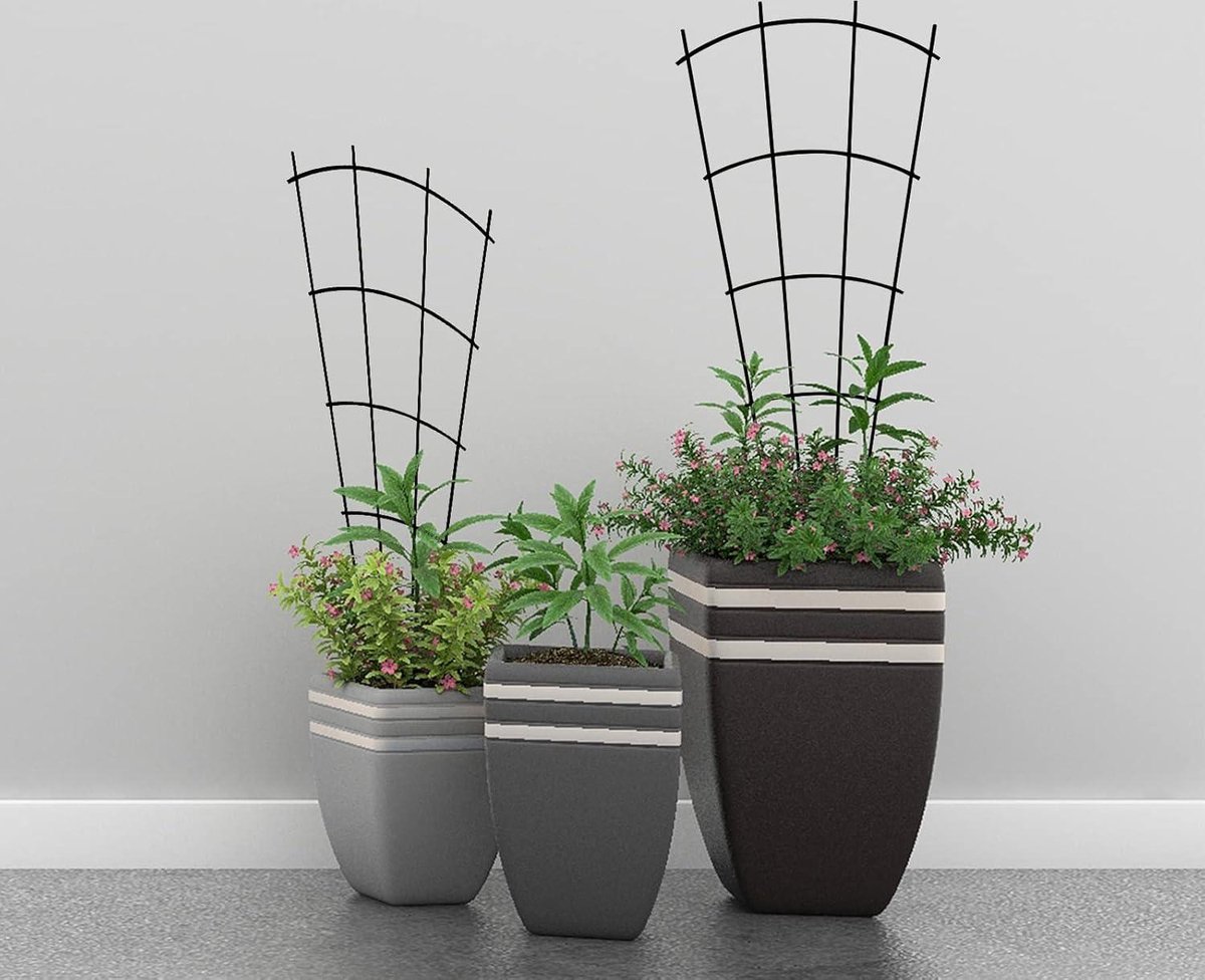 Lot De 6 Tuteurs Pour Plantes D'intérieur - Forme éventail, Vert, Empilables, Pour Fleurs Et Vignes - 8