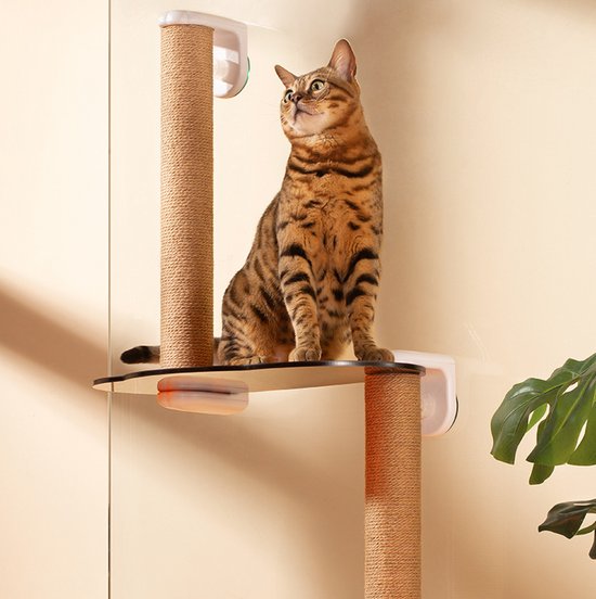Klimboom voor katten - op het raam - met 2 krabpalen en 1 kattenhangmat