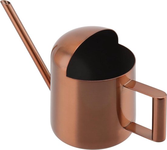 Accessoire Plantes Intérieur Arrosoir Miniature 300 Ml - Acier Inoxydable Bronze - Long Bec Précision - Plantes Intérieur Accessoire Plantes Succulentes