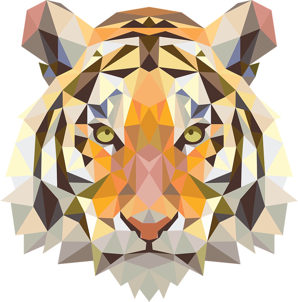 HOOODIE Cushie Tiger