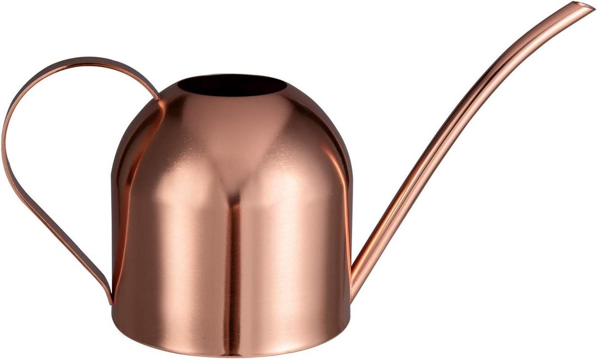 32oz-1L Roestvrij Stalen Binnen Gieter Met Lange Uitloop - Waterkan Voor Kamerplanten - Rose Goud