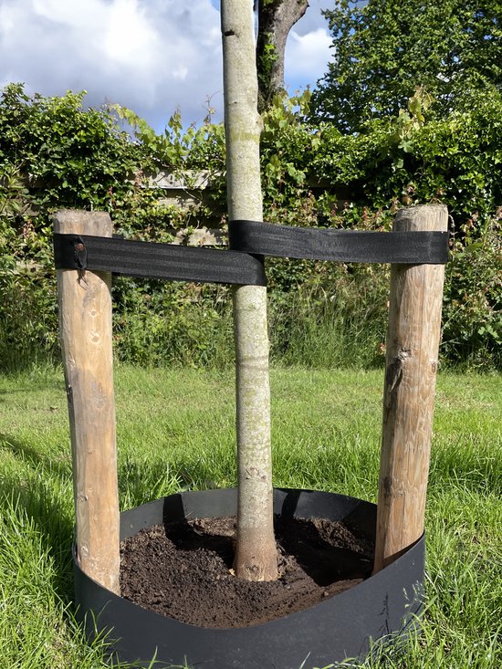 Boomband op Rol 25 meter Autogordel | Per Rol