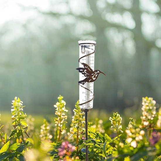 Tuinregenmeter van glas - regenmeter litermes - regenmeter metaal - vogel plantensteker - duidelijke schaal - regenhoeveelheidsmeter - tuin gazon terras. Regenmeter