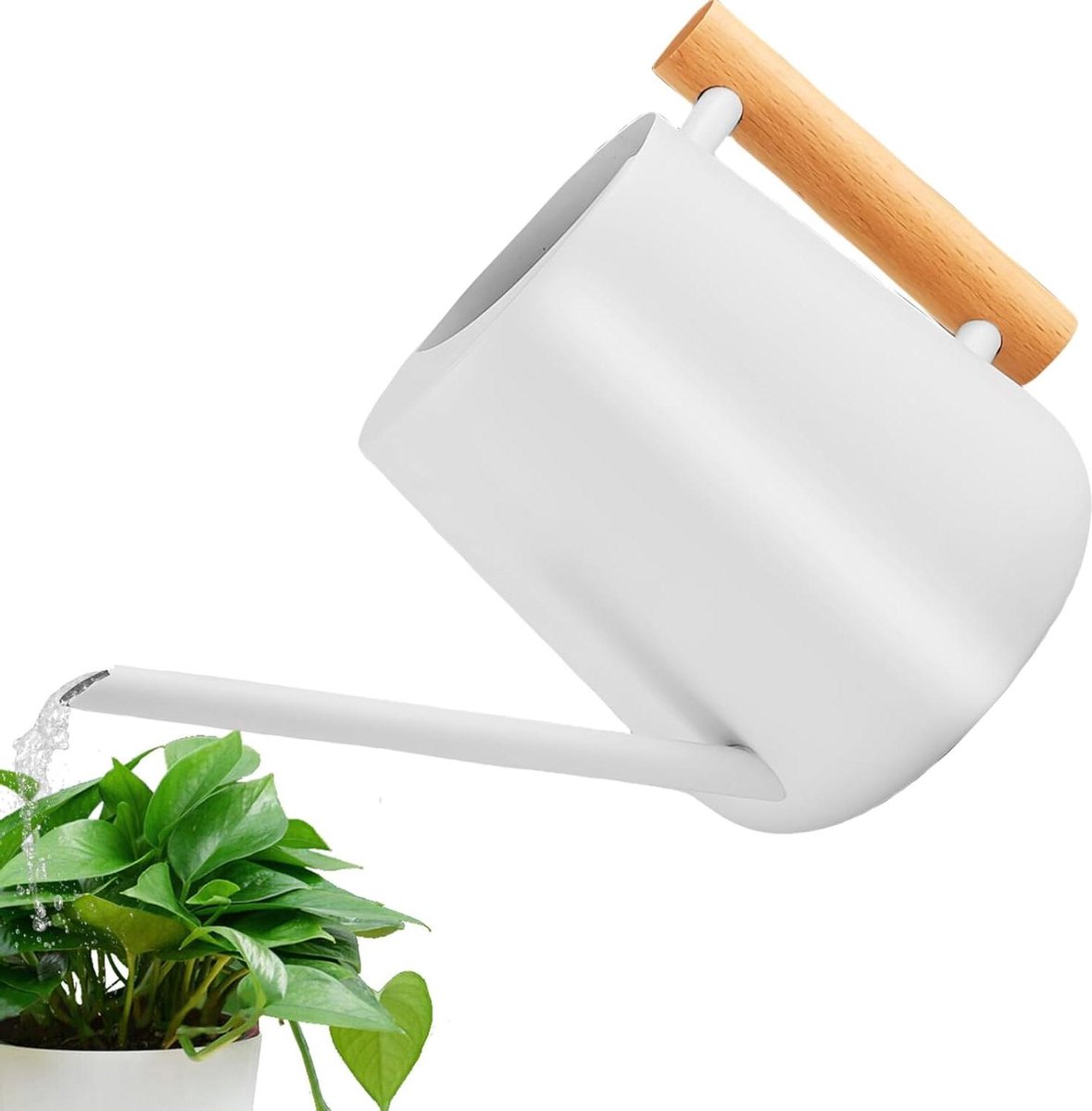 1 liter kleine gieter voor kamerplanten van roestvrij staal met houten handvat - lange schenktuit voor vetplanten - pottuin en meer