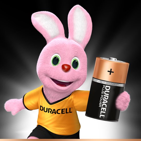 Duracell Plus Power D 4CT