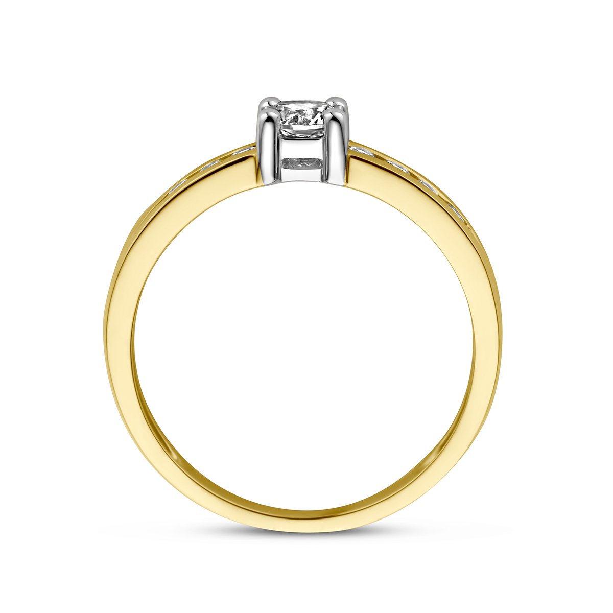 Ring Zirkonia